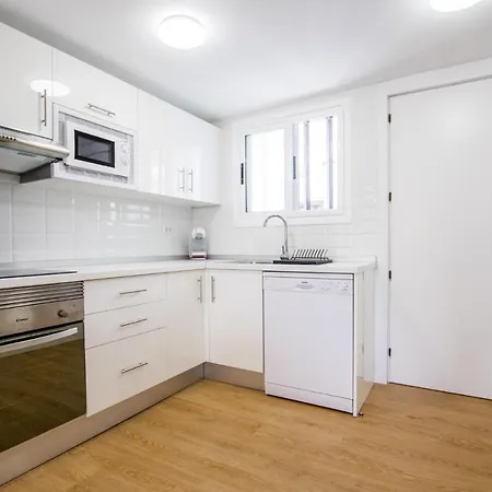 Apartmán Parque Santiago 1 Duplex 2a014 Playa de las Americas (Tenerife)